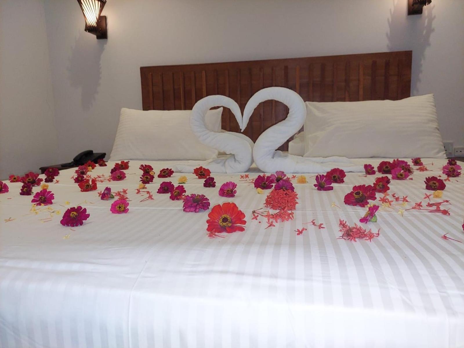J7 Villaj Resort Trikunamalaja Zewnętrze zdjęcie