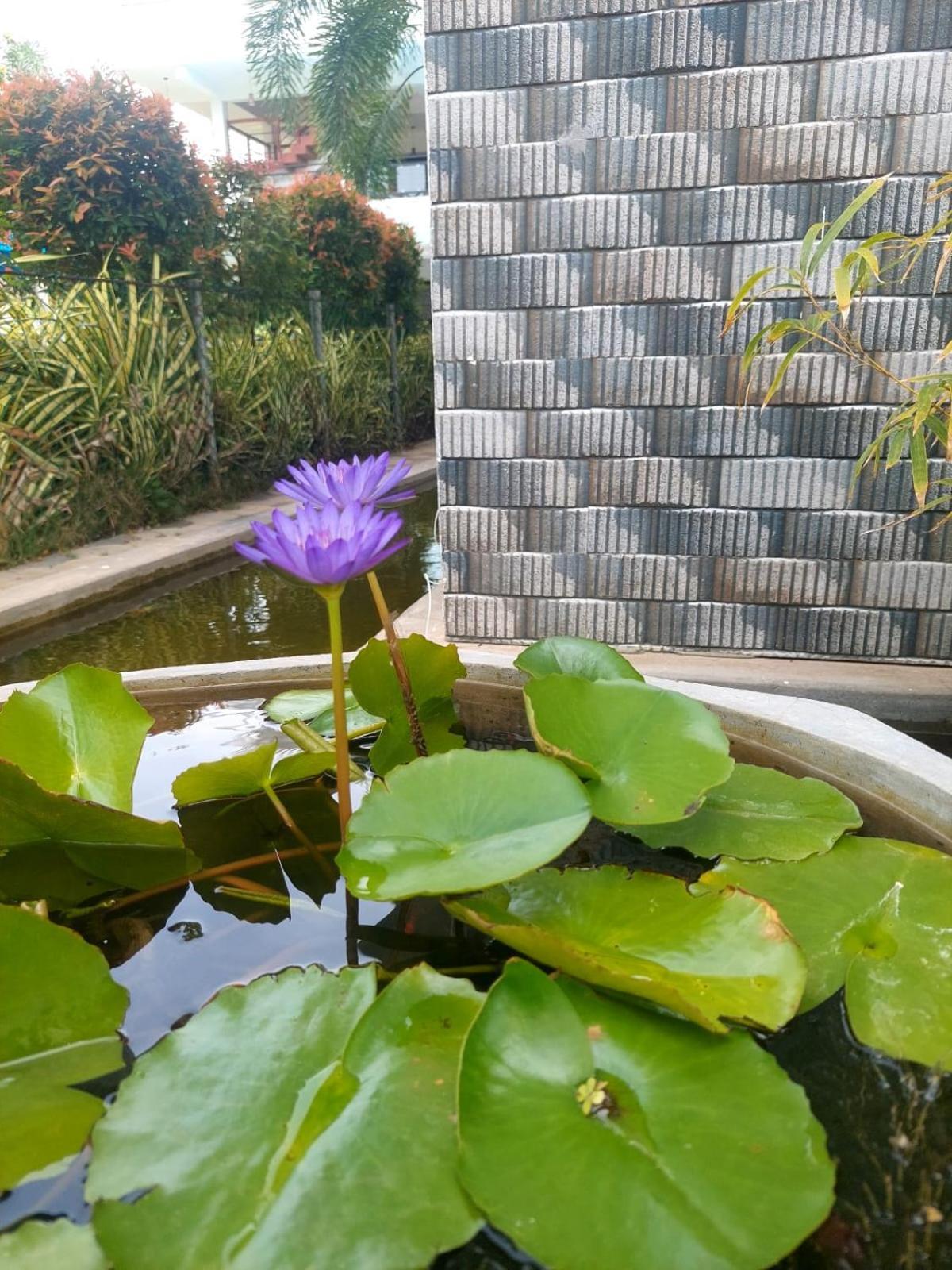 J7 Villaj Resort Trikunamalaja Zewnętrze zdjęcie
